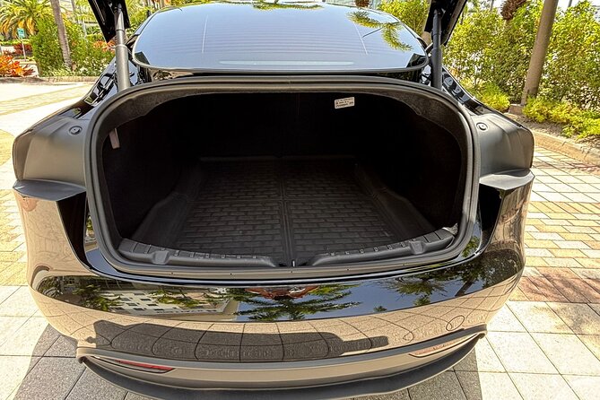 Puerto Rico Island Wide Private Transfers, Tesla 3 Luxury Sedan. - Where the service earns trust, and where it falls short