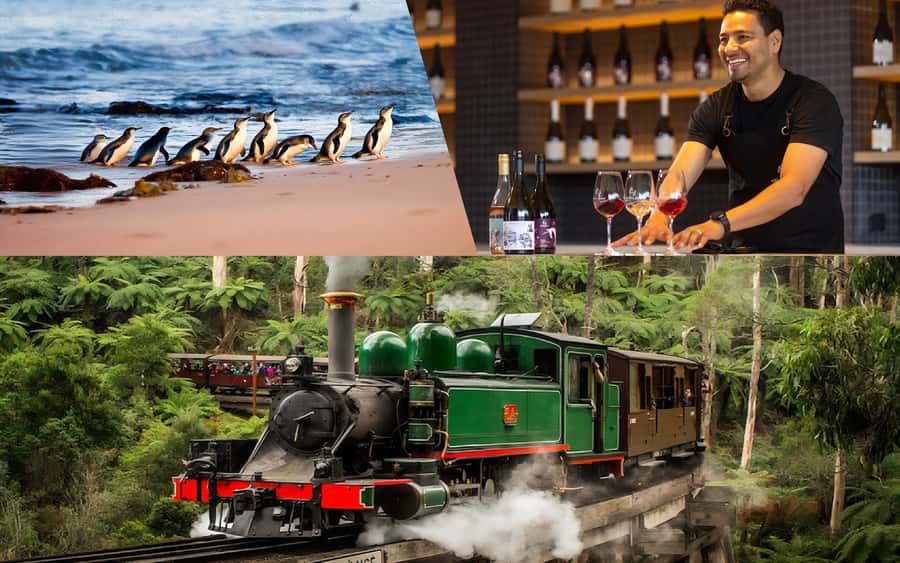 Puffing Billy Penguin Parade Winery Chocolaterie All-in-One - Key points to know before booking