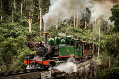 Puffing Billy Penguin Parade Winery Chocolaterie All-in-One