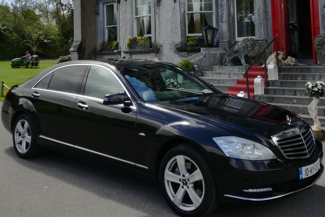Ring of Kerry Tour Private Chauffeur Driven From Killarney - Kells Sheep Centre and the best live demonstration