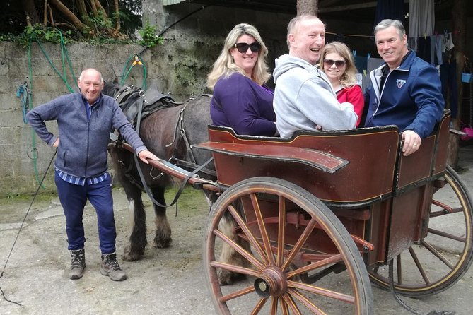 Ring of Kerry Tour Private Chauffeur Driven From Killarney - Portmagee: a good place to stop for lunch