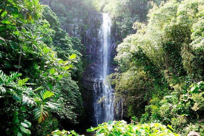 Road to Hana in Mercedes Van: Waterfalls and Black Sand Beach - Puaʻa Kaʻa offers a possible swim