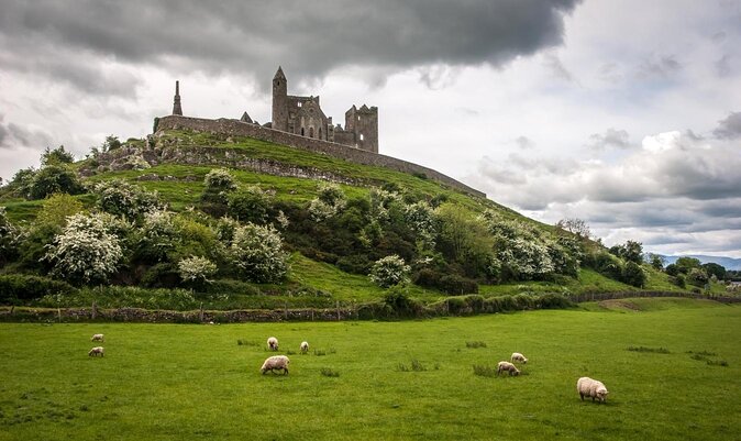 Rock Of Cashel And Blarney Castle Private Chauffeur Full Day Sightseeing Tour - The Rock of Cashel: two hours among Ireland’s great ruins