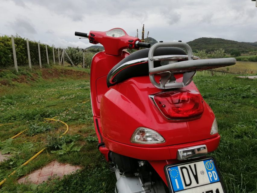 Rome: City Highlights Vespa Tour with Driver - Through Rome’s narrow streets and cobblestones