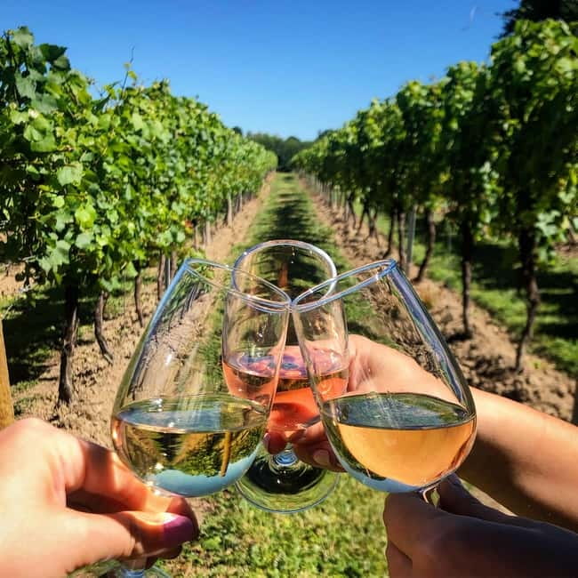 Rome Countryside: Wine Tasting Tour with Private Driver - Leaving Rome for Frascati Wine Country