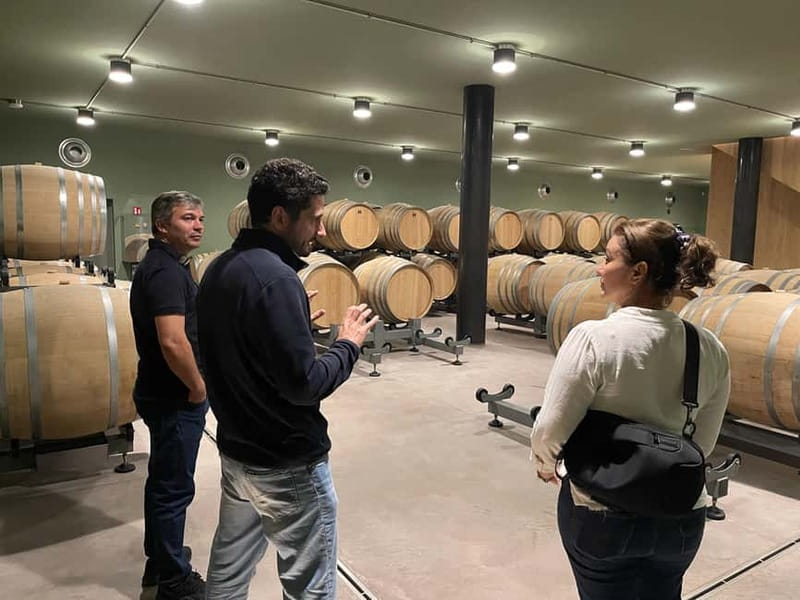 Rome Countryside: Wine Tasting Tour with Private Driver - What the Private Driver Adds