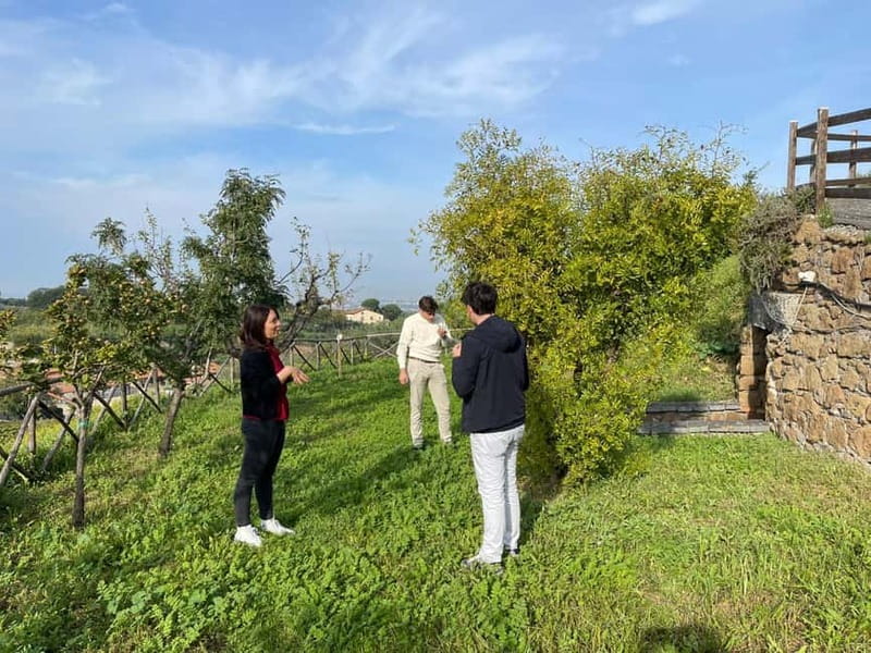Rome Countryside: Wine Tasting Tour with Private Driver - Who Will Enjoy This Rome Excursion