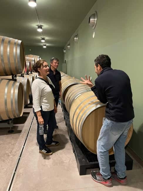 Rome Countryside: Wine Tasting Tour with Private Driver - Price, Cancellation, and Practical Details