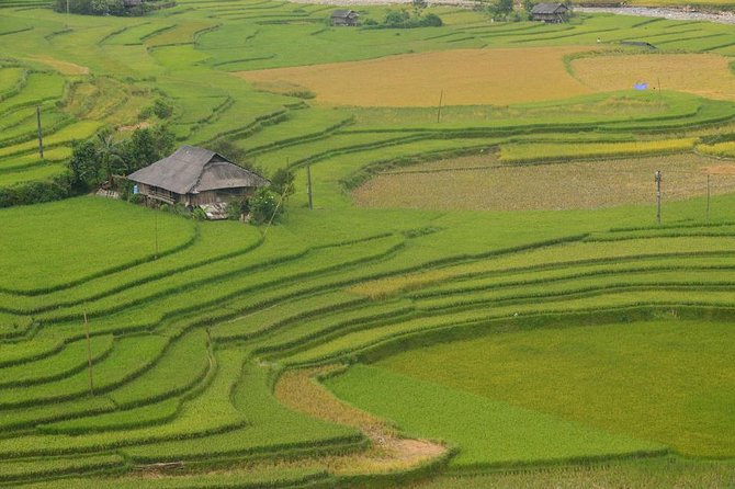 Sa Pa 2-Day Moderate Trek and Homestay Limousine Tour from Hanoi - The guide, meals, and what is covered