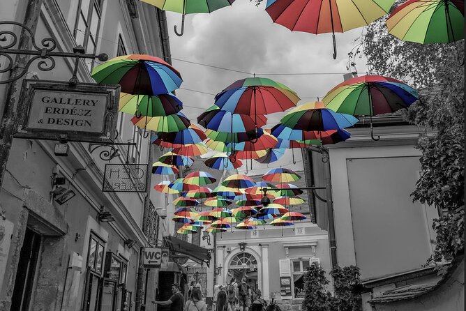 Scenic Danube River bend hills & the Art Town: Private Car Tour - Lunch, shopping, and extra costs