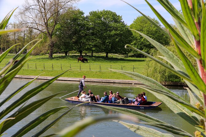 Shared Chauffeured Punt Tour - Trinity College, Wren Library, and Trinity Bridge