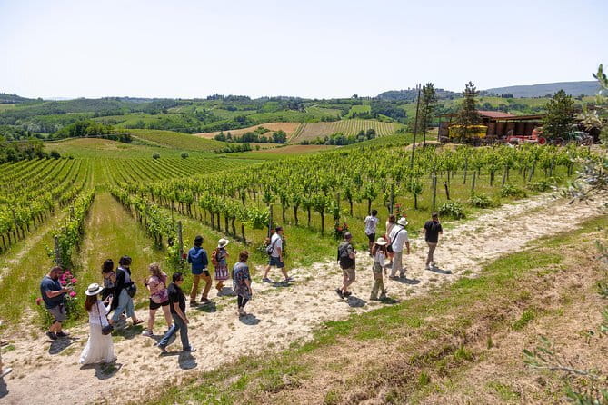 Siena and Chianti Wineries Excursion by Private Luxury Van from Florence - What the private van adds