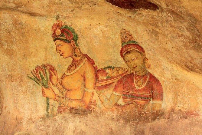 Sigiriya Day Tour from Colombo or Negombo by Private Car / Van - Watching for wildlife at Minneriya National Park