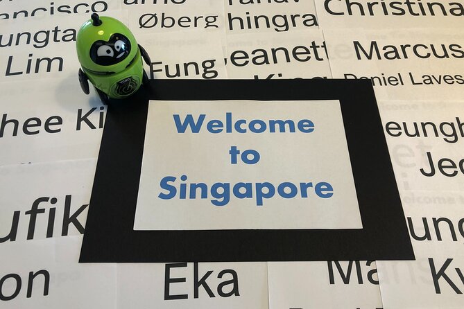 Singapore Arrival Ground Transfer in Limo-Bus - Cancellation and practical booking advice