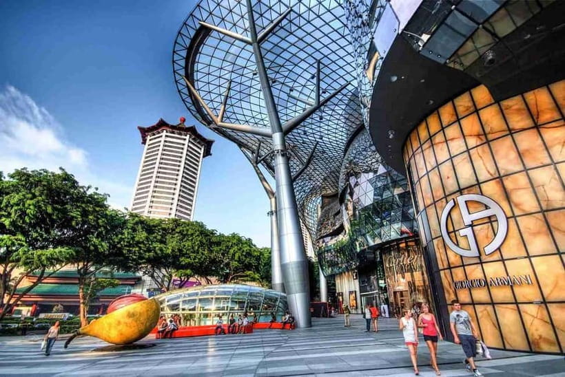 Singapore Limousine Van Tour: ️ Shopping & Street Food Trail - Driver service, guide options, and communication