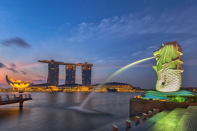 Singapore Private Customized City Tour with Driver - Why a private car works well in Singapore