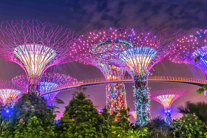 Singapore Private Customized City Tour with Driver - Chinatown’s temples, market, and local flavor