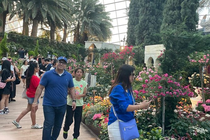 Singapore Private Customized City Tour with Driver - Gardens by the Bay and Singapore’s modern side