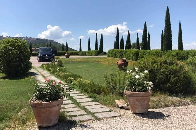 Small group Chianti-side wine tour with Mercedes V class Van - Key points to know before you book