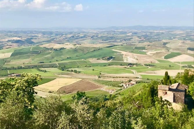 Small group Chianti-side wine tour with Mercedes V class Van - From Florence to the Chianti hills at 1:15 pm