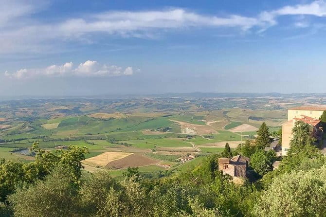 Small group Chianti-side wine tour with Mercedes V class Van - Casa Emma: a small winery and a tasting with local bites