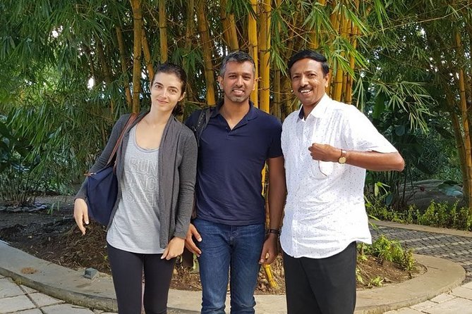 Sri Lanka 5-Day Private Car Hire with Driver-Guide - A private car instead of a fixed Sri Lankan circuit