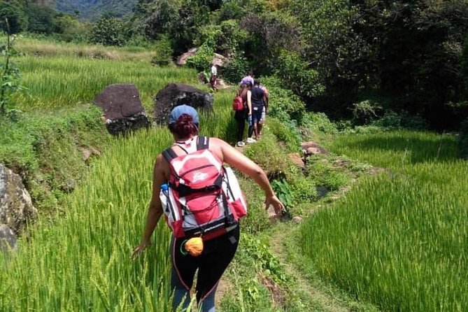 Sri Lanka budget tour package 8 days with driver,vehicle and H/B accommodations. - Day 5: Matale and the caves of Dambulla