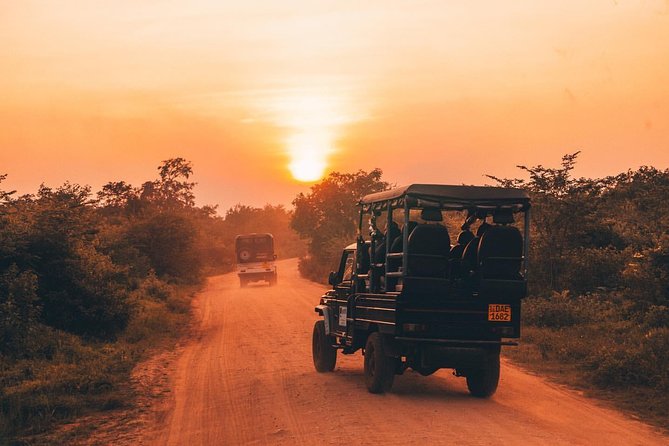 Sri Lanka budget tour package 8 days with driver,vehicle and H/B accommodations. - Day 1: Airport pickup and the road to Tissamaharama