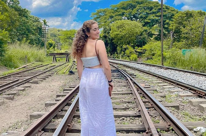 Sri Lanka Personal Tour Driver in a Private Vehicle - Nuwara Eliya and Ella require time on foot