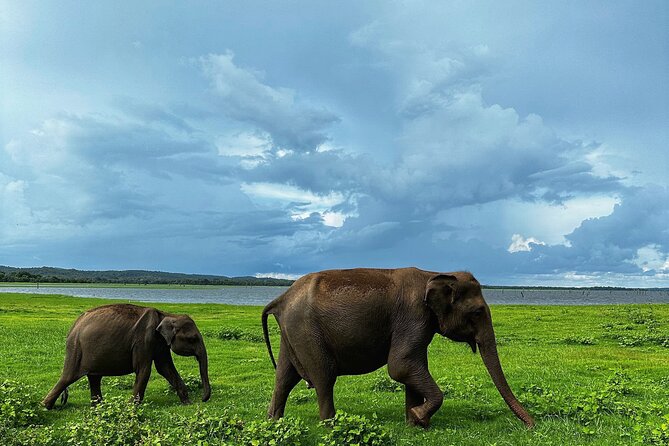 Sri Lanka Personal Tour Driver in private vehicle - Building a route around 100 kilometers a day