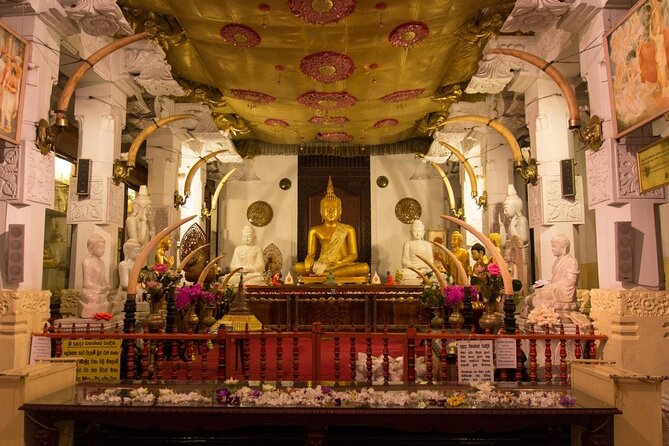 Sri Lanka private tour package 9 night 10 Day with driver+vehicle+accommodations - Key points to know before booking