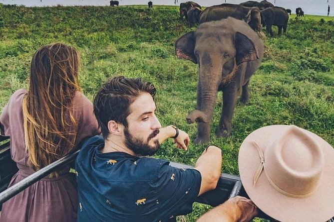 Sri Lanka private tour package 9 night 10 Day with driver+vehicle+accommodations - Day 7: Ravana Falls and a Yala safari