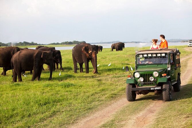 Sri Lanka; Professional Chauffeur Guide With Modern Vehicles - Beaches, temples, and safari country