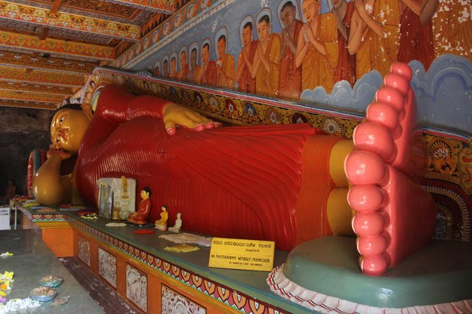 Sri Lanka Tour/6 Days+Friendly Chauffeur +vehicle+accommodation H/B basis - Mirissa Beach and a slower coastal day