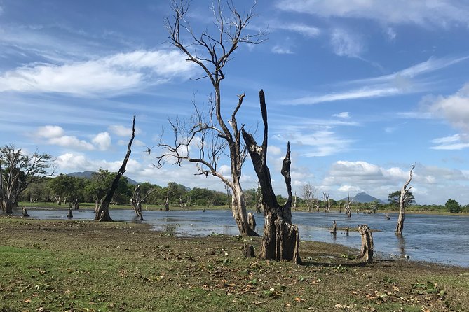 Sri Lanka tours 12-Day wildlife Tour with driver,Car or Van and accommodations - Day 11: Galle, Bentota, and the Madu River