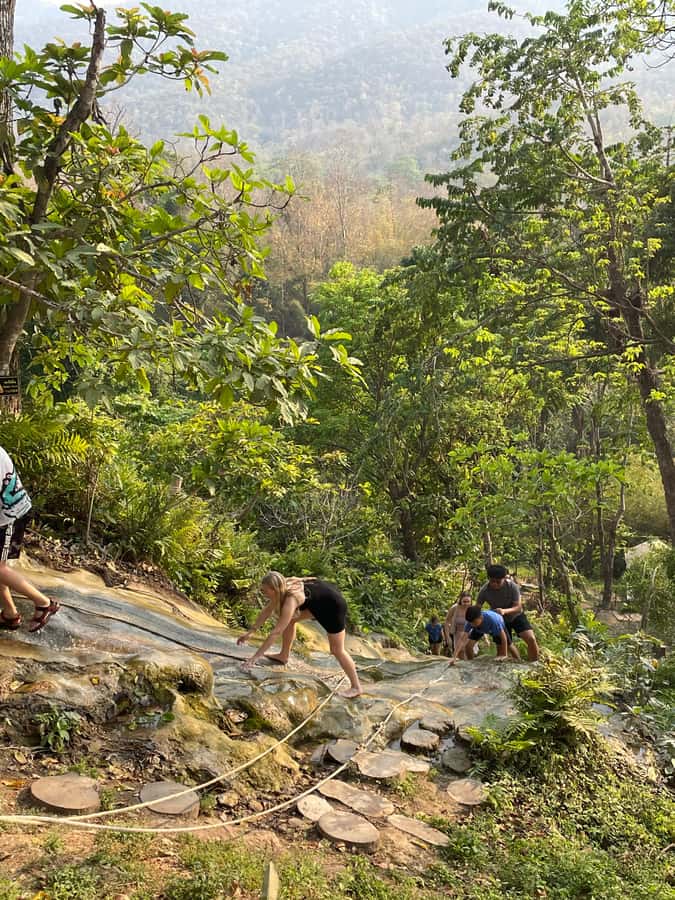 Sticky Waterfall Half-day with Private Car - Why Bua Thong Is Called the Sticky Waterfall