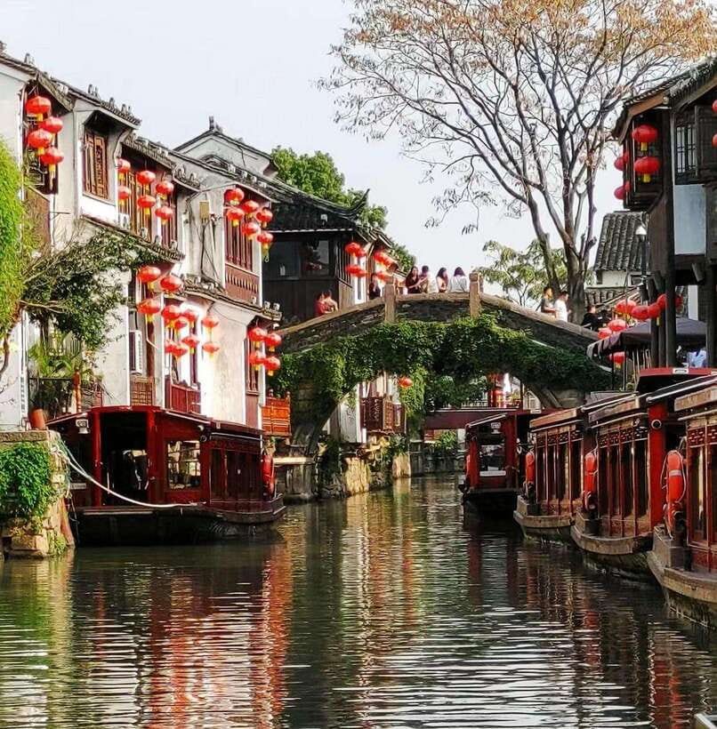 Suzhou Flexible Guided Day Trip from Shanghai by Private Car - The Humble Administrator’s Garden and Suzhou’s classical style