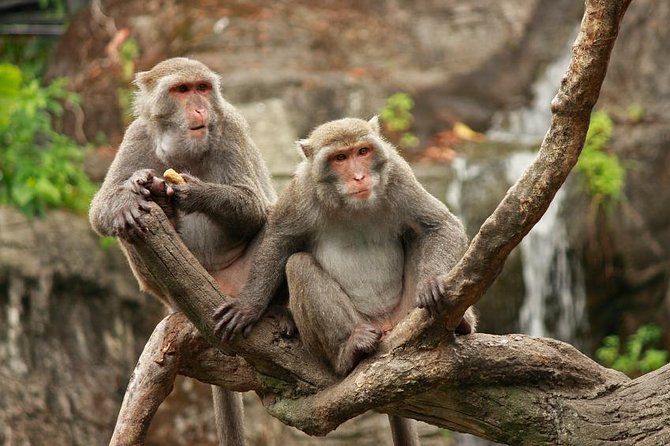 Taipei Private Car Charter Tour - Key points to know before booking