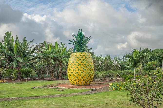 "The Dole Plantation" & "North Shore" Private Limousine VIP Tour! - Dole Plantation gives you the most time