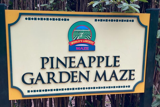 "The Dole Plantation" & "North Shore" Private Limousine VIP Tour! - Timing, pickup, and small practical details