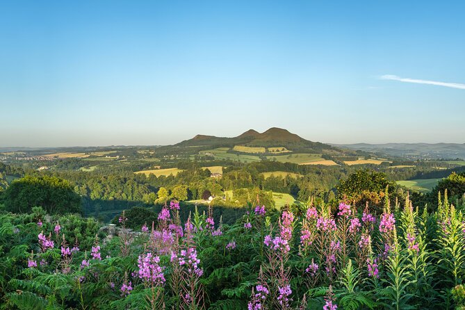 The Scottish Borders Full-Day Private Tour in a Luxury Minivan with Local Guide - The guide makes the difference