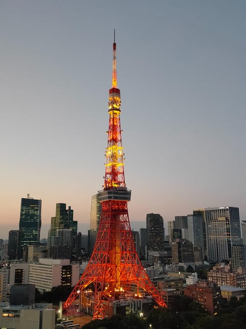 Tokyo: City Tour Tokyo With Driver - Ginza, Meiji Shrine, and Harajuku show three different Tokyos