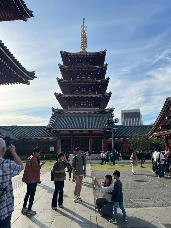 Tokyo Full-Day Tour with Private Car - A practical way to cover Tokyo in seven hours