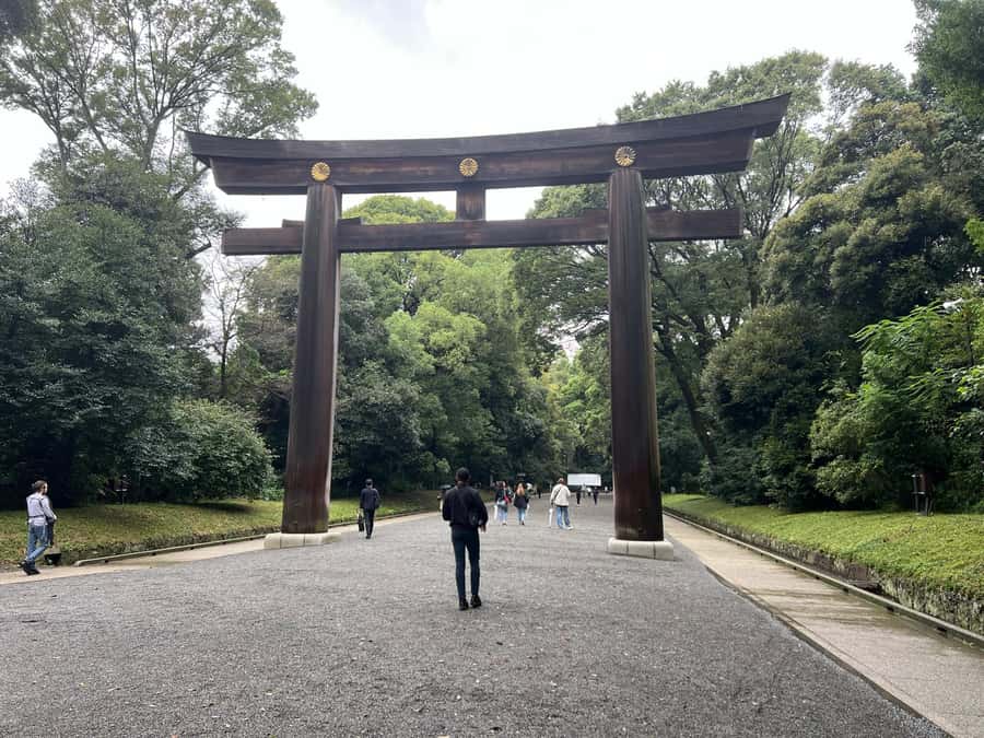 Tokyo Full-Day Tour with Private Car - Omotesando and Harajuku when shopping matters