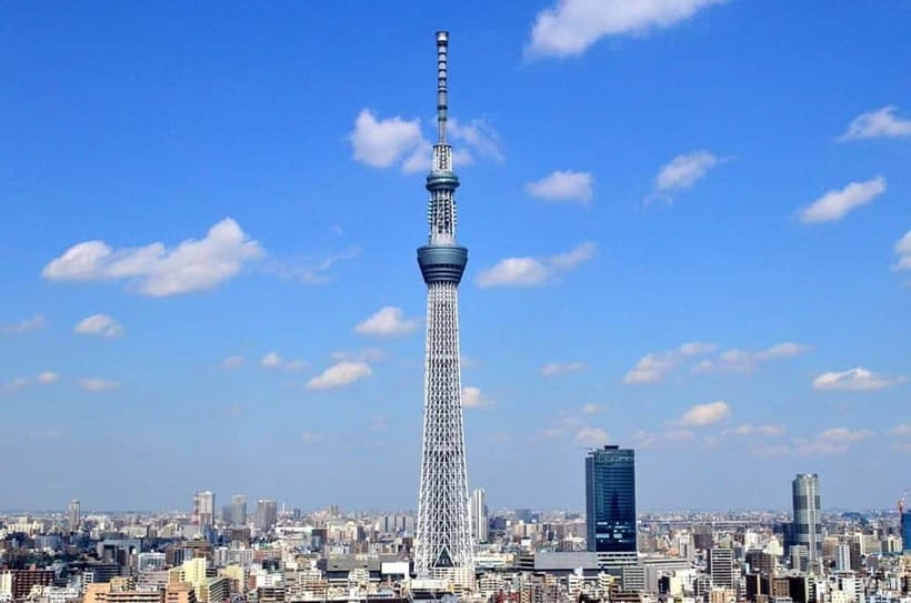 Tokyo: Guided Exploration with a Private Driver - Key points to know before booking