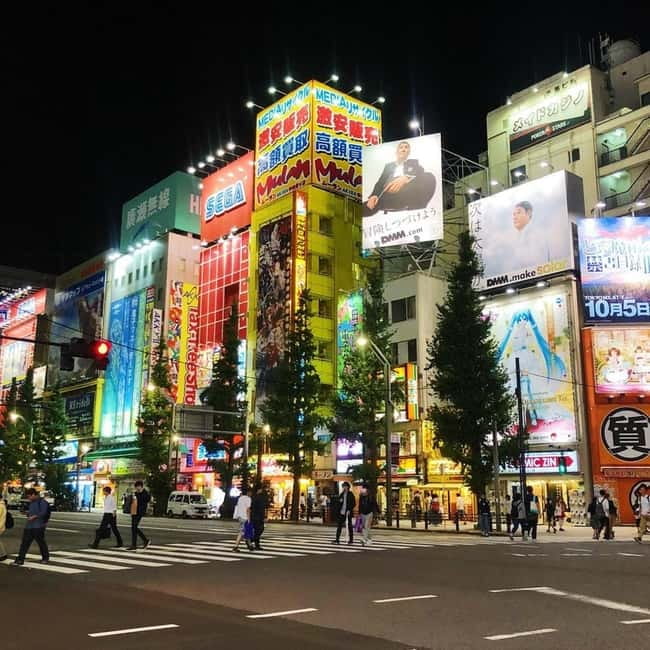 Tokyo: Guided Exploration with a Private Driver - Akihabara: electronics, games, and a change of pace