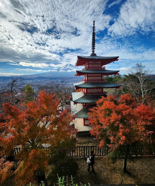 Tokyo: Mount Fuji Affordable Customizable Private 1-Day Tour - Why a private Fuji day works well from Tokyo