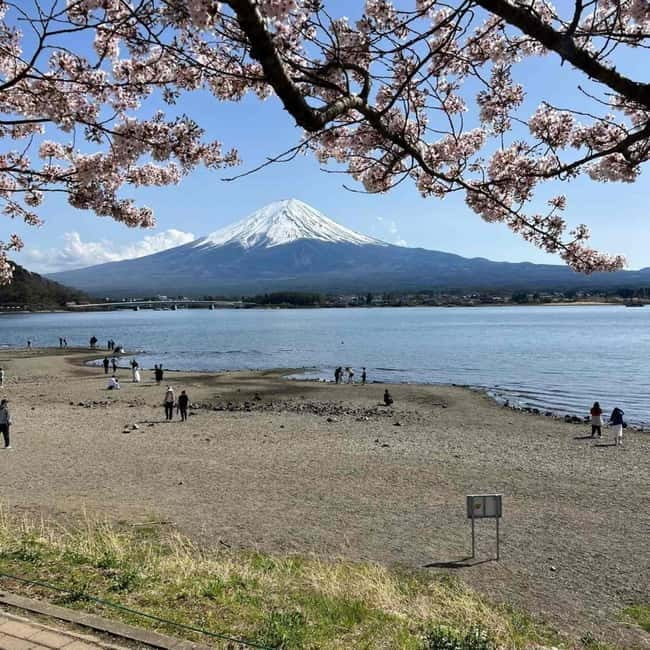 Tokyo: Mount Fuji Affordable Customizable Private 1-Day Tour - Oshino Hakkai: ponds, snacks, and old-style village scenery