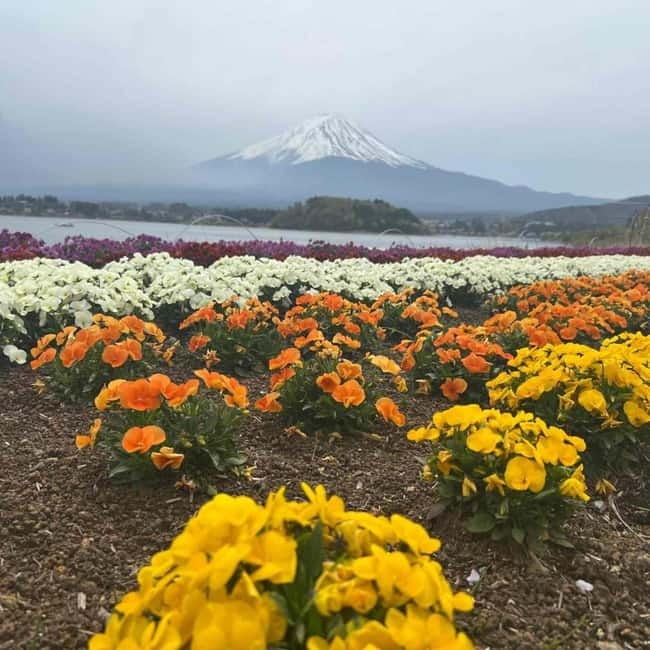 Tokyo: Mount Fuji Affordable Customizable Private 1-Day Tour - Chureito Pagoda and the climb to the famous view