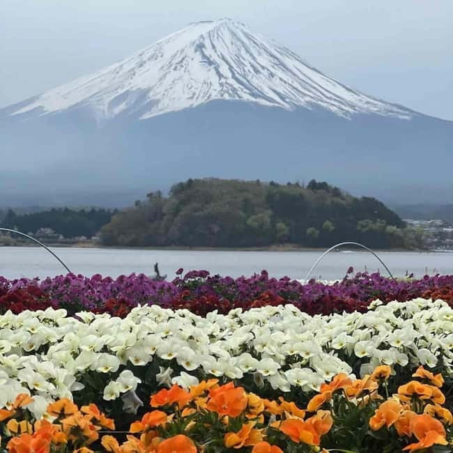 Tokyo: Mount Fuji Affordable Customizable Private 1-Day Tour - The 5th Station, only when the mountain allows it